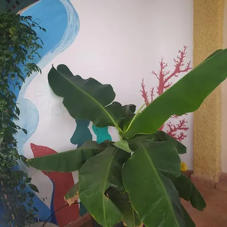 Hébergement de vacances Enjoy Fuerteventura *